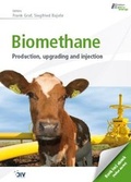 Cover: Biomethane - Vulkan-Verlag