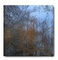 Cover: Hans Srand Intimate 1 - Triplekite Publishing
