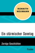 Cover: Ein st&uuml;rmischer Sonntag - Fischer Taschenbuch