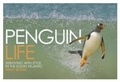 Cover: Penguin Life - David & Charles