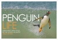 Enlarge image Cover: Penguin Life - David & Charles
