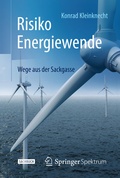 Cover: Risiko Energiewende - Springer