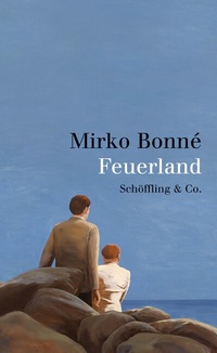 Abbildung von: Feuerland - Schöffling