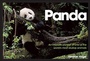 Cover: Panda - David & Charles
