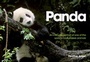 Cover: Panda - David & Charles