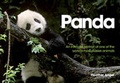 Cover: Panda - David & Charles
