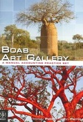 Cover: Boab Art Gallery - a Manual Accounting Practice Set - Wiley