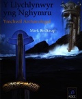 Cover: Llychlynwyr yng Nghymru, Y - Ymchwil Archaeolegol - Llyfrau Amgueddfa Cymru/ National Museum Wales Books
