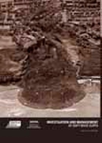 Enlarge image Cover: Investigation and Management of Soft Rock Cliffs - Thomas Telford Ltd