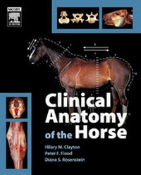 Abbildung von: Clinical Anatomy of the Horse - Mosby