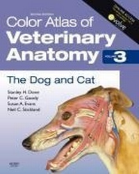 Abbildung von: Color Atlas of Veterinary Anatomy, Volume 3, The Dog and Cat - Mosby