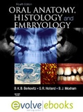 Bild: Oral Anatomy, Histology and Embryology - Mosby