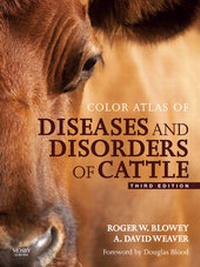 Abbildung von: Color Atlas of Diseases and Disorders of Cattle Text and Evolve eBooks Package - Mosby
