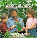 Cover: Looking at Plants - Wiley