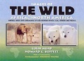 Cover: Images of the Wild - Colin Mead