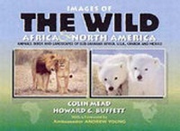 Enlarge image Cover: Images of the Wild - Colin Mead