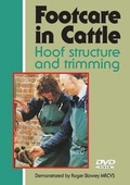Bild: Footcare in Cattle - Old Pond Publishing Ltd
