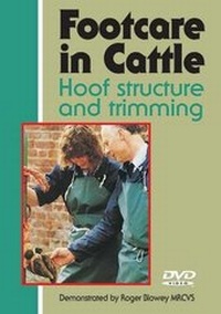 Bild: Footcare in Cattle - Old Pond Publishing Ltd