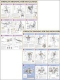 Cover: Strength Training Anatomy Poster Series - Human Kinetics Publishers