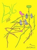Cover: Big Kids - Drawn and Quarterly