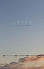 Cover: Skies - Carcanet Poetry