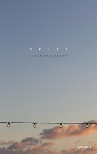 Enlarge image Cover: Skies - Carcanet Poetry