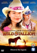 Cover: The Wild Stallion - Bridgestone Multimedia Group