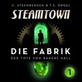 Cover: Steamtown - Papierverzierer Verlag