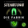 Cover: Steamtown - Papierverzierer Verlag