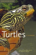 Cover: Turtles of Alabama - The University of Alabama Press