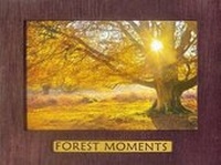Enlarge image Cover: Forest Moments - Photography for the Preservation of Landscape