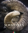 Cover: Schafleben - FONA Verlag