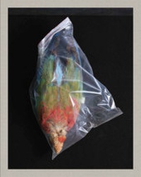 Enlarge image Cover: Nicola Lo Calzo - Kehrer Verlag