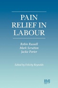 Cover: Pain Relief in Labour - BMJ Books