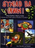 Cover: Syniad Da Iawn! - Gwasg Carreg Gwalch