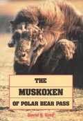 Cover: Muskoxen of Polar Bear Pass - Fitzhenry & Whiteside