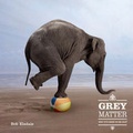 Cover: Grey Matter - Andrews McMeel Publishing