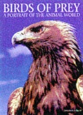 Cover: Birds of Prey - Todtri Book Publishers