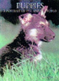 Cover: Puppies - Todtri Book Publishers