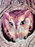 Cover: Owls - Todtri Book Publishers