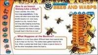 Enlarge image Cover: Strength in Numbers - Weldon Owen Education Ltd