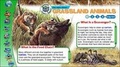Cover: Grassland Safari - Weldon Owen Education Ltd