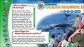Cover: Beneath the Waves - Weldon Owen Education Ltd