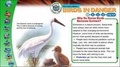 Cover: Flight Path - Weldon Owen Education Ltd