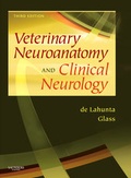 Bild: Veterinary Neuroanatomy and Clinical Neurology - Saunders