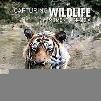 Abbildung von: CAPTURING WILDLIFE MOMENTS IN INDIA - OUP India