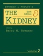 Cover: The Kidney - Saunders