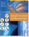 Cover: Small Animal Arthroscopy - Saunders