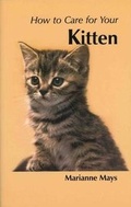 Cover: How to Care for Your Kitten - Kingdom Books,Havant