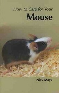 Enlarge image Cover: How to Care for Your Mouse - Kingdom Books,Havant